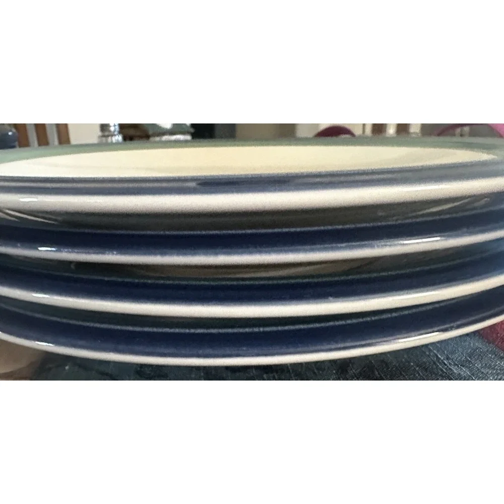 Set of 4- Pfaltzgraff Ocean Breeze Stoneware Dinner Plates